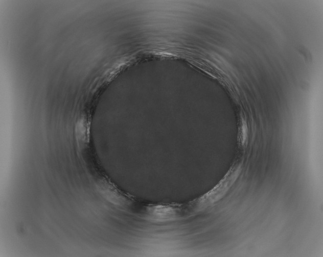 X0000113260180200909241530