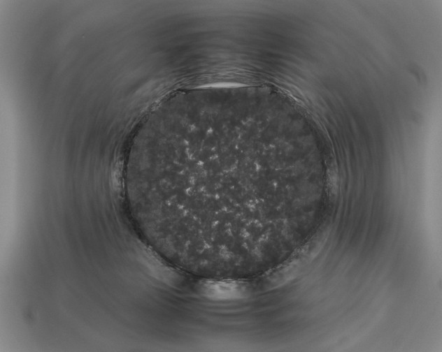 X0000113260181200909241530