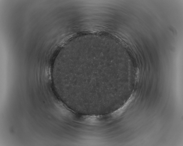 X0000113260182200909241530