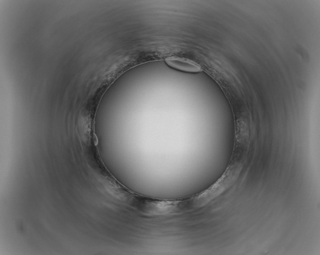 X0000113260184200909241530