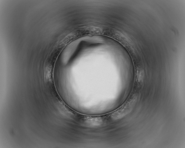 X0000113260185200909241530