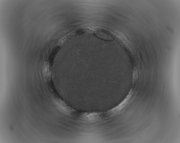 X0000113260186200909241530