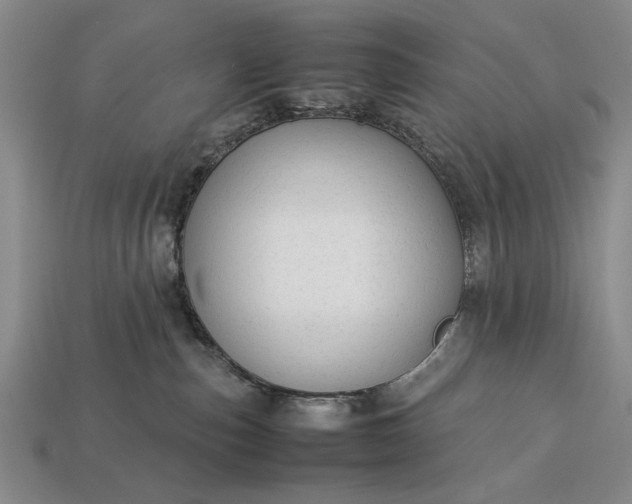 X0000113260187200909241530