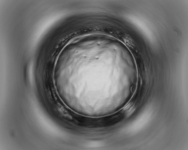 X0000113260189200909241530