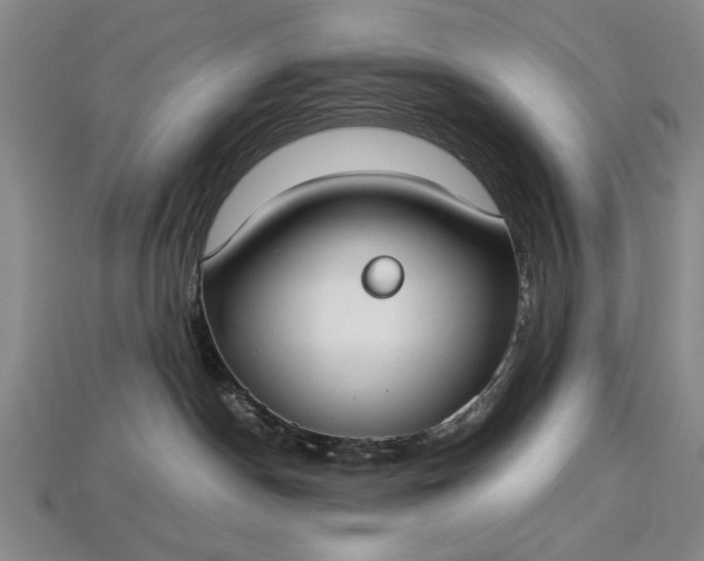 X0000113260190200909241530