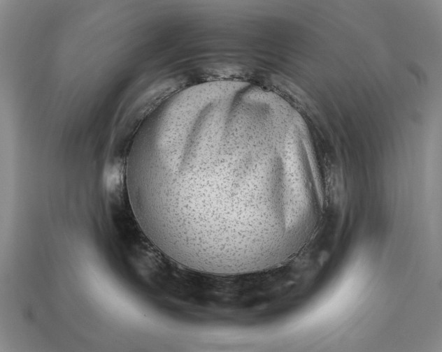 X0000113260191200909241530