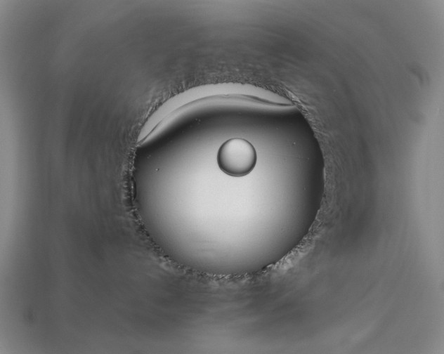 X0000113260192200909241530