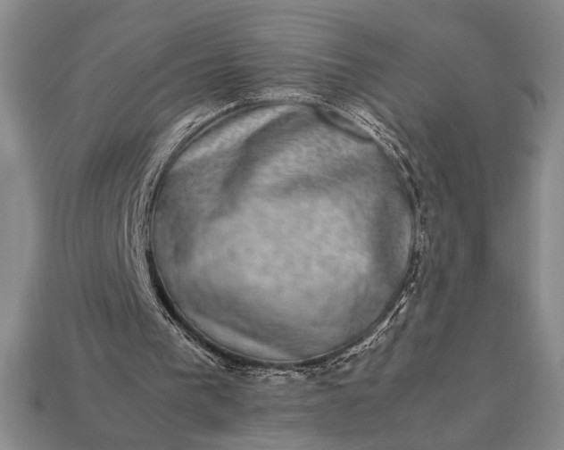 X0000113260193200909241529