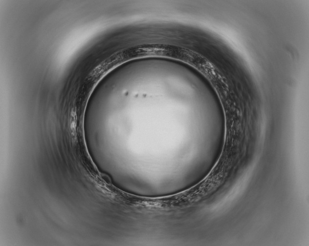 X0000113260194200909241529