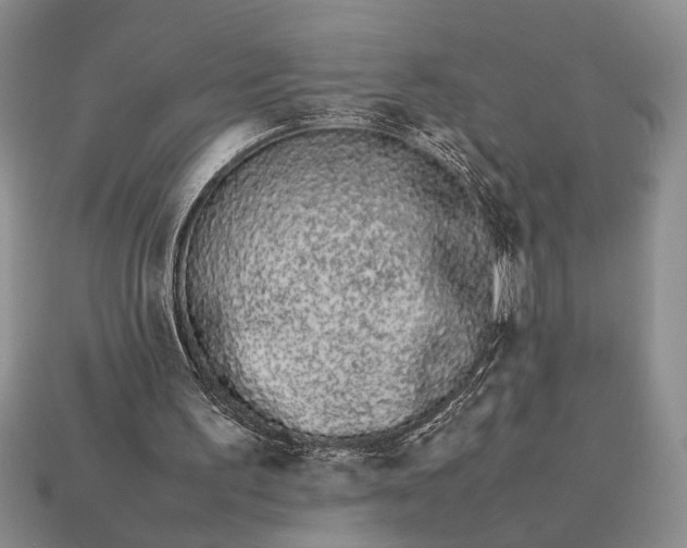 X0000113260195200909241529