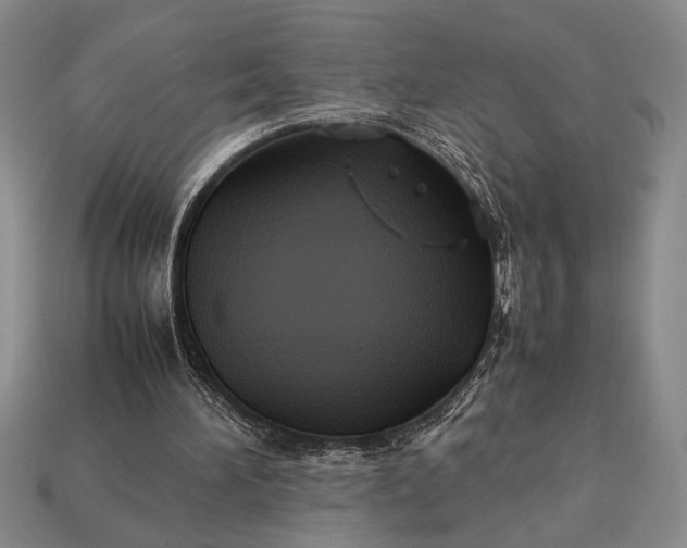 X0000113260196200909241529