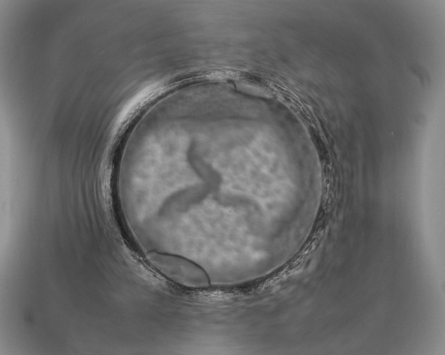 X0000113260197200909241529