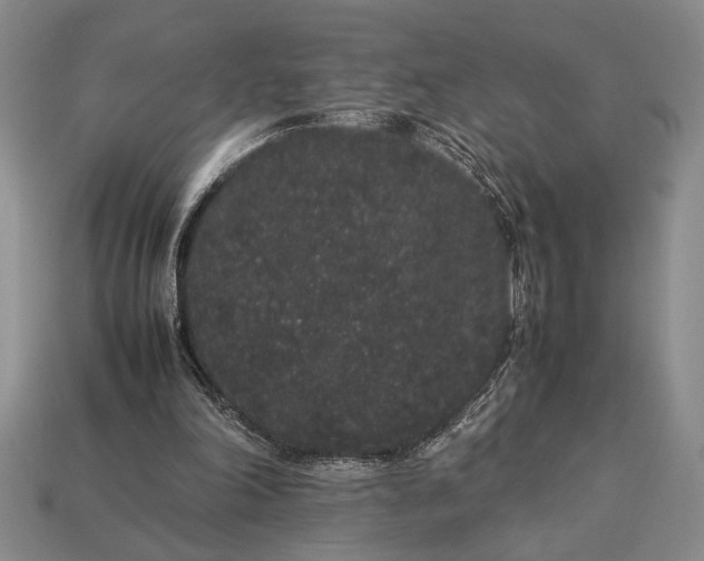 X0000113260198200909241529