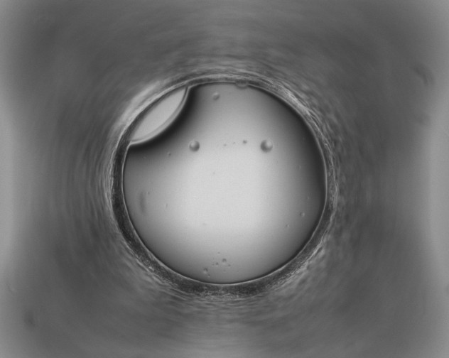 X0000113260199200909241529