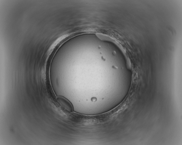 X0000113260200200909241529