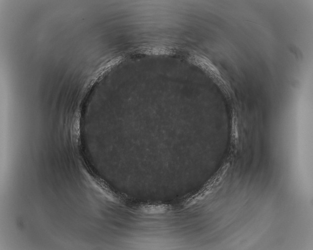 X0000113260202200909241529