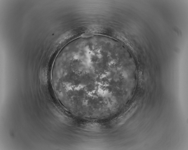 X0000113260203200909241529