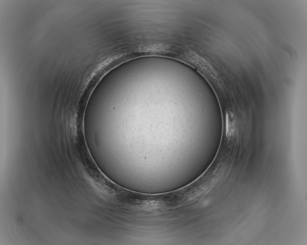 X0000113260204200909241529