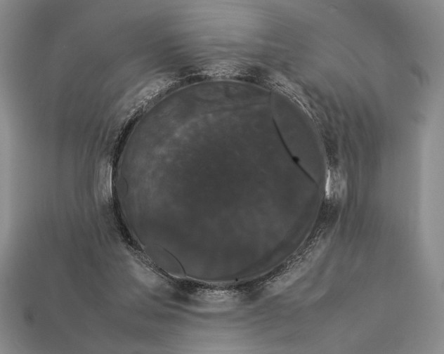 X0000113260205200909241529