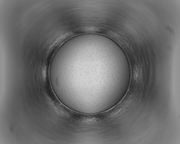 X0000113260206200909241529