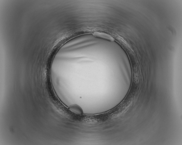 X0000113260207200909241529