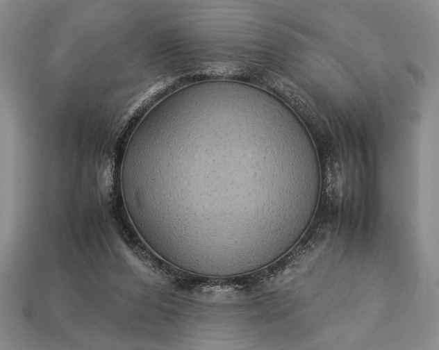 X0000113260208200909241529