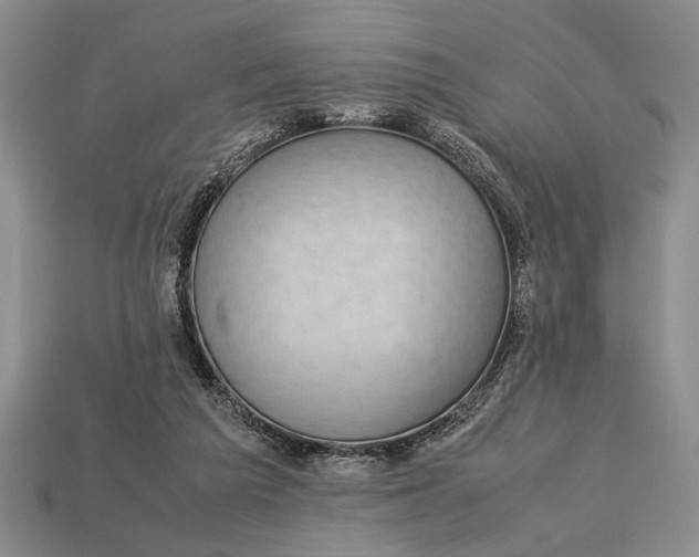 X0000113260209200909241529