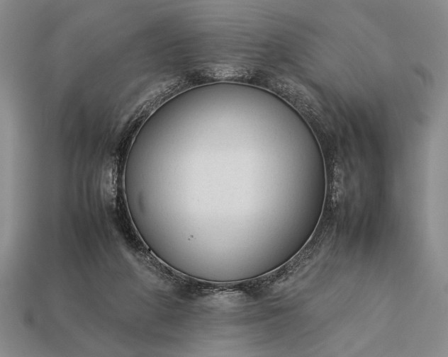 X0000113260210200909241529