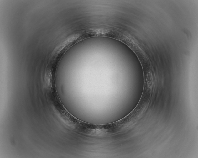 X0000113260212200909241529