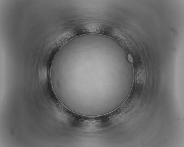 X0000113260213200909241529