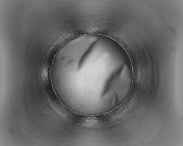 X0000113260214200909241529