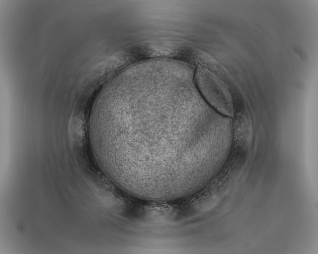 X0000113260215200909241529