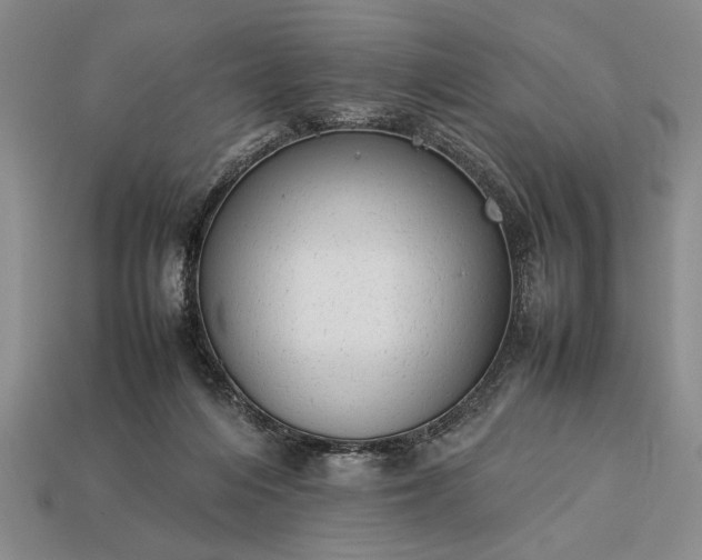 X0000113260216200909241529