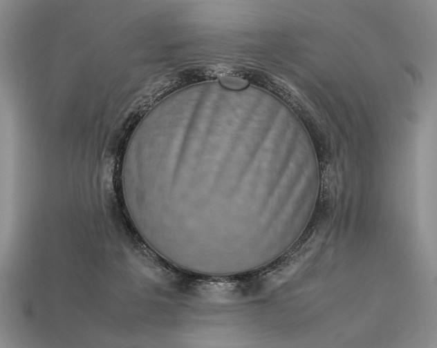 X0000113260217200909241529