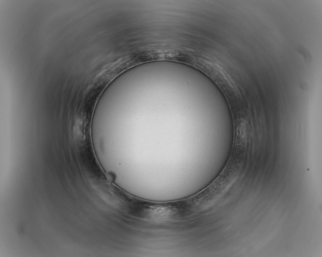 X0000113260218200909241529