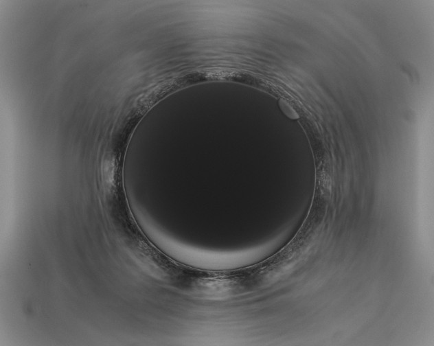 X0000113260219200909241529