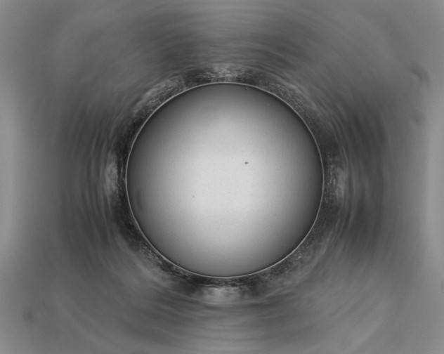 X0000113260220200909241529