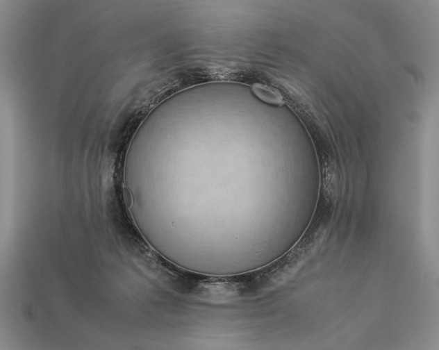 X0000113260221200909241529