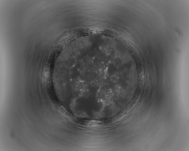 X0000113260222200909241529