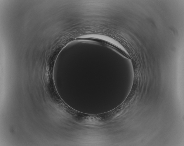 X0000113260223200909241529