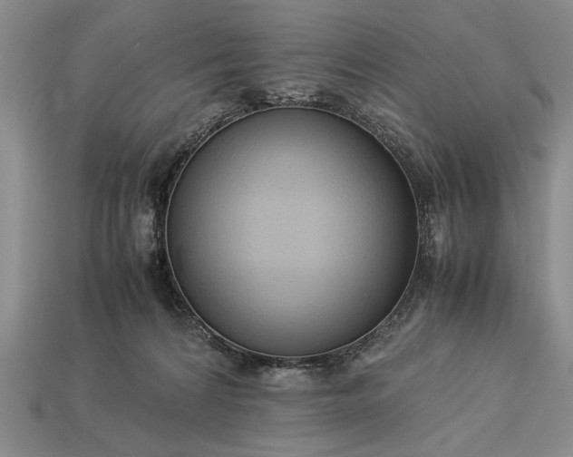 X0000113260224200909241529