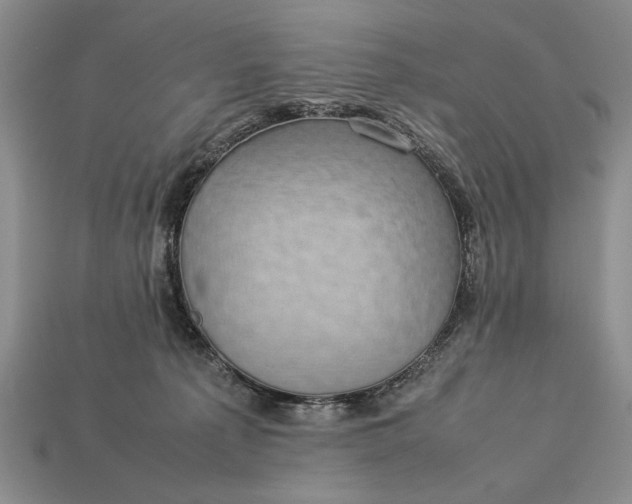 X0000113260225200909241529