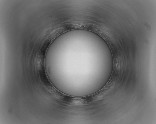 X0000113260226200909241529