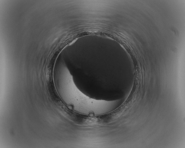 X0000113260227200909241529