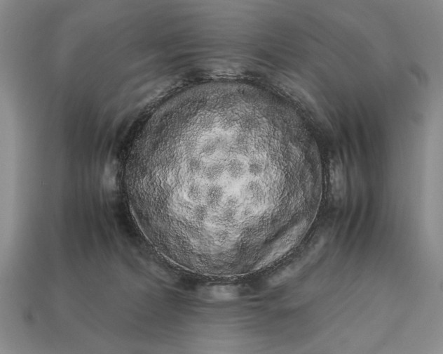 X0000113260228200909241529