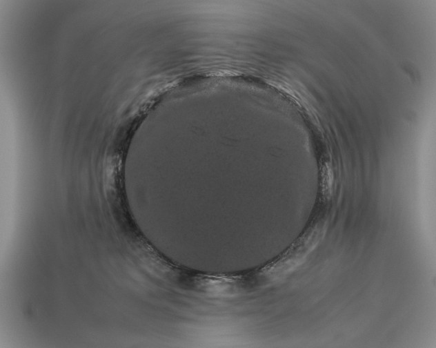 X0000113260229200909241529