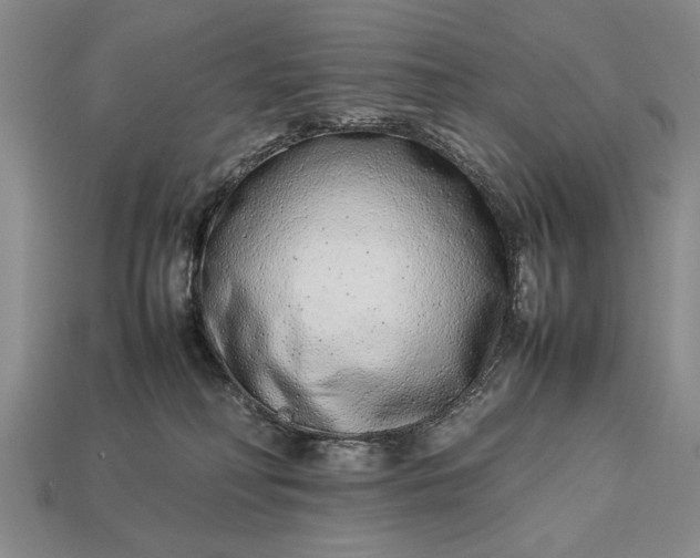 X0000113260230200909241529