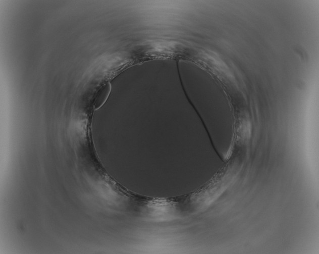 X0000113260231200909241529