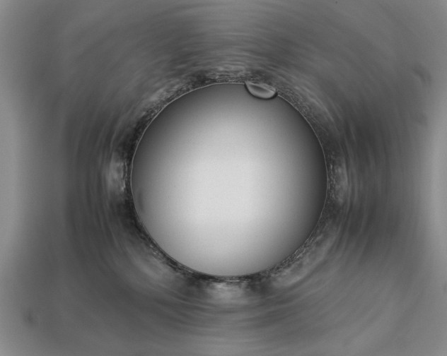 X0000113260232200909241529