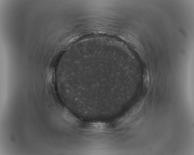 X0000113260233200909241529